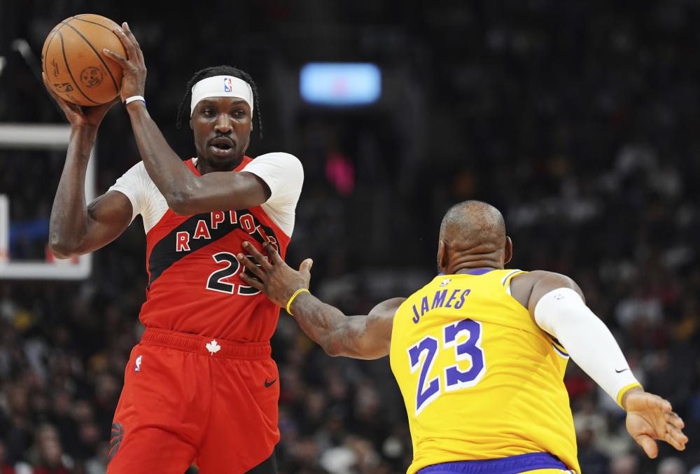 的国旗展示 的国旗展示